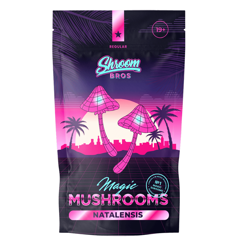 Natalensis Magic Mushroom